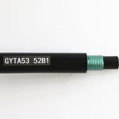 GYTA53 openlucht Optische Vezelkabel 12 Kern met PE Schedeapl Staaldraad